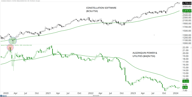 Constellation Software